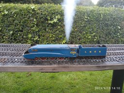 sgd-2023-11