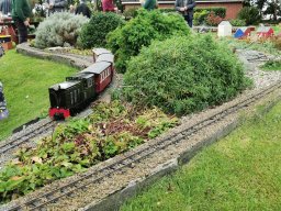 G1 and 16MM Open Day Oct 2021
